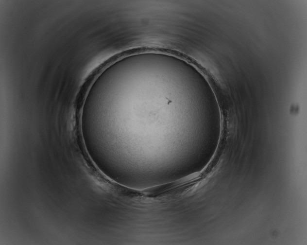X0000102011070200807181223