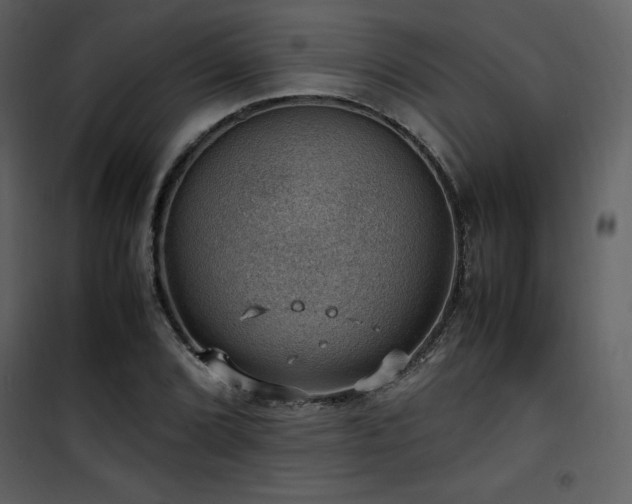 X0000102011072200807181223