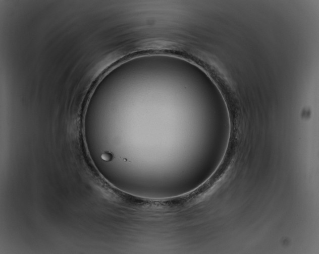 X0000102011073200807181223