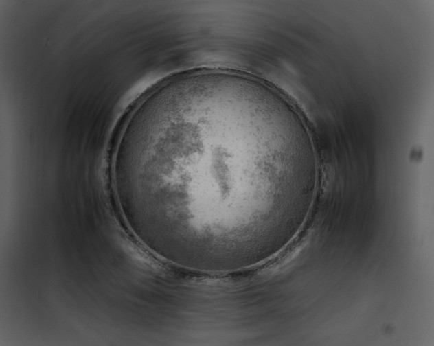X0000102011074200807181223