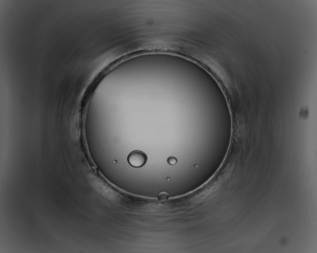 X0000102011075200807181223