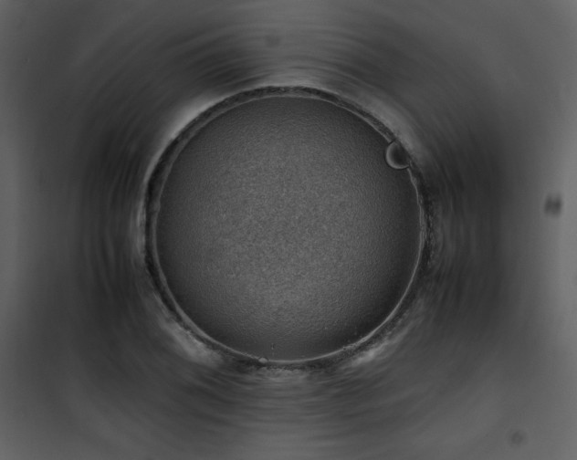 X0000102011076200807181223