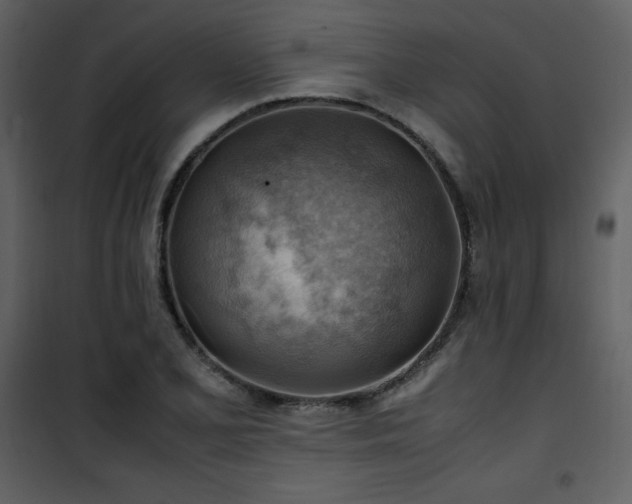 X0000102011077200807181223