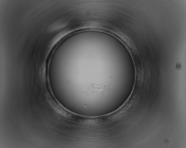 X0000102011078200807181223