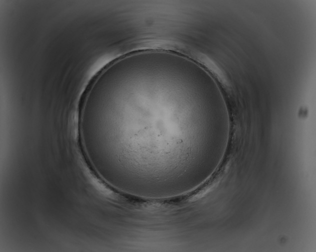 X0000102011079200807181223