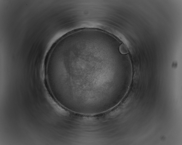 X0000102011080200807181223