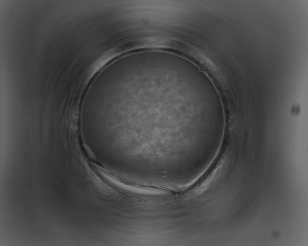 X0000102011081200807181223