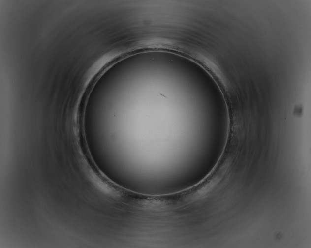 X0000102011082200807181223