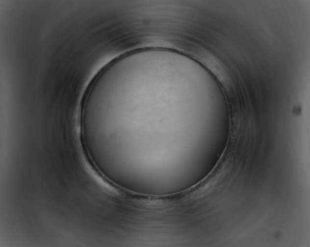 X0000102011084200807181223