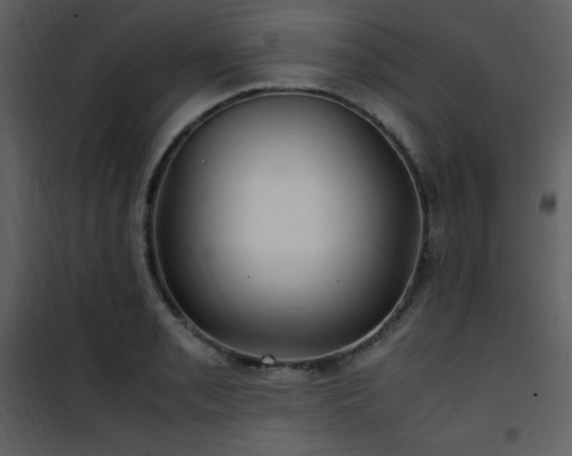 X0000102011085200807181223