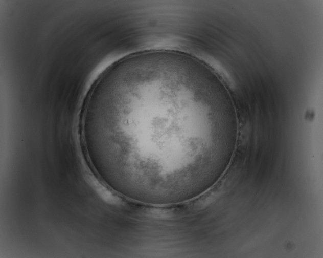 X0000102011086200807181223