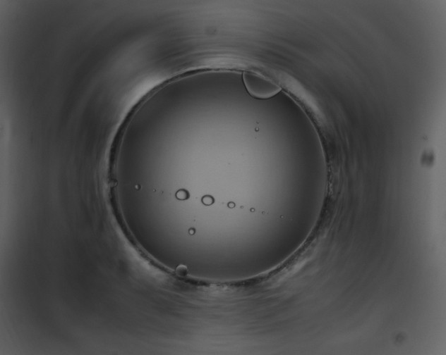 X0000102011087200807181223