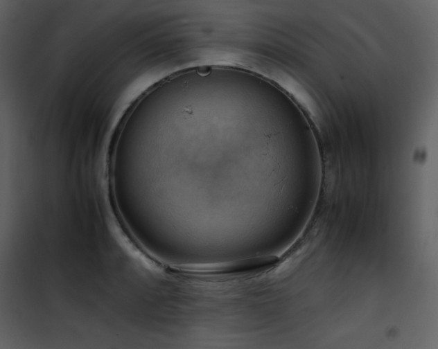 X0000102011088200807181223