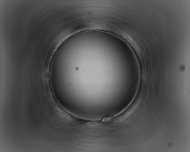 X0000102011089200807181223