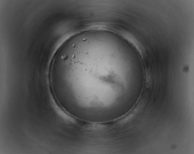 X0000102011090200807181223