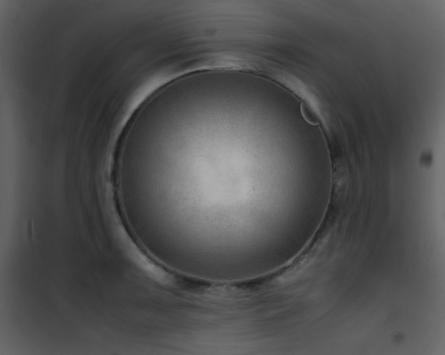 X0000102011091200807181223