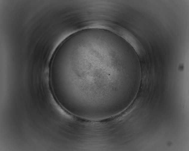X0000102011092200807181223
