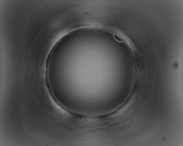 X0000102011095200807181222