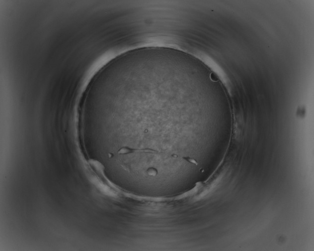 X0000102011096200807181222