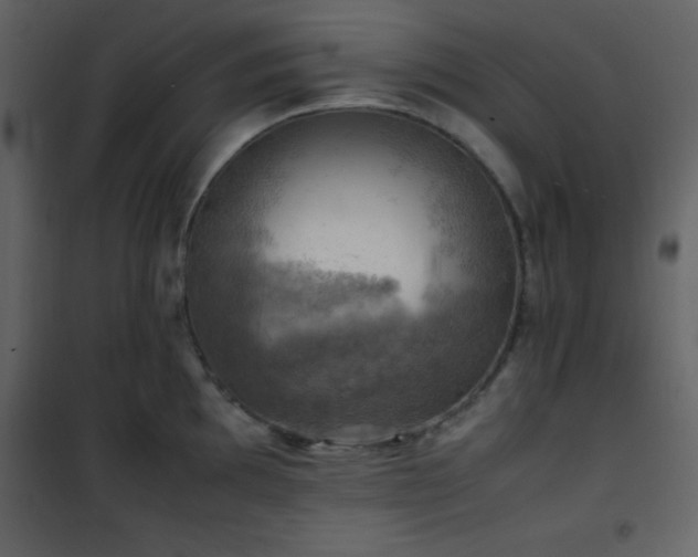 X0000102011097200807181222