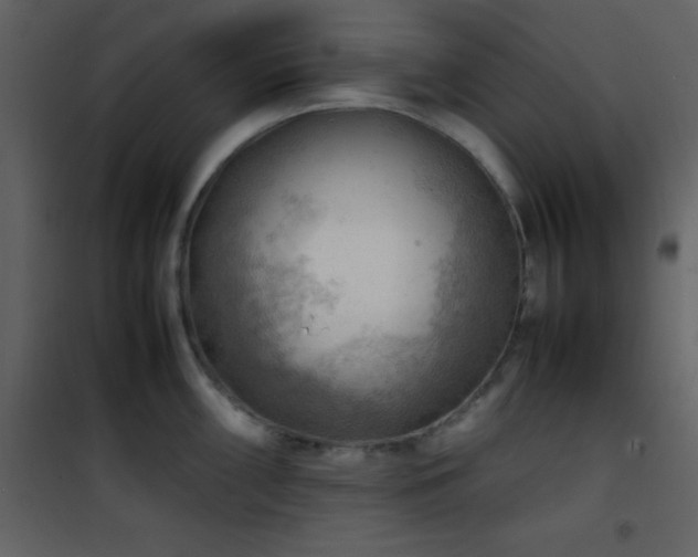 X0000102011098200807181222