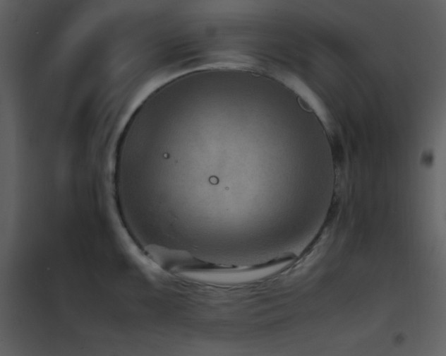 X0000102011099200807181222
