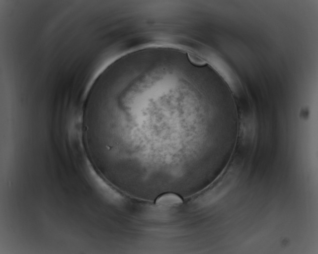X0000102011100200807181222
