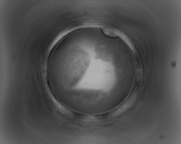 X0000102011101200807181222