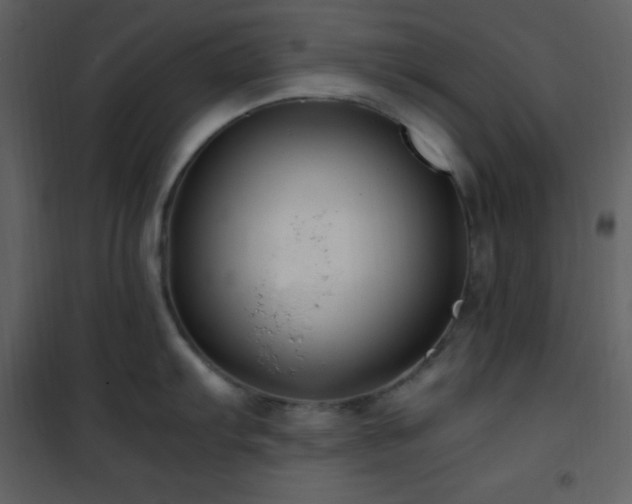 X0000102011103200807181222