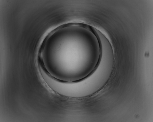 X0000102011104200807181222