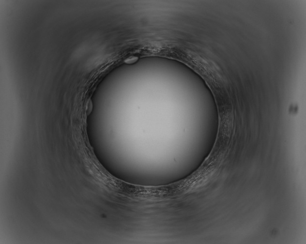 X0000102011105200807181222