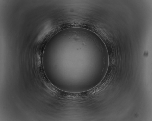 X0000102011106200807181222