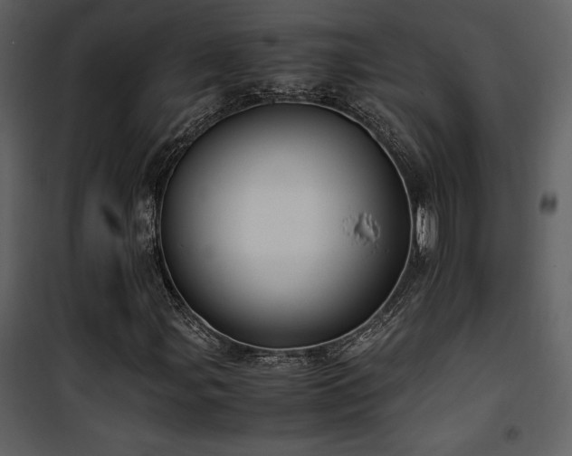 X0000102011107200807181222