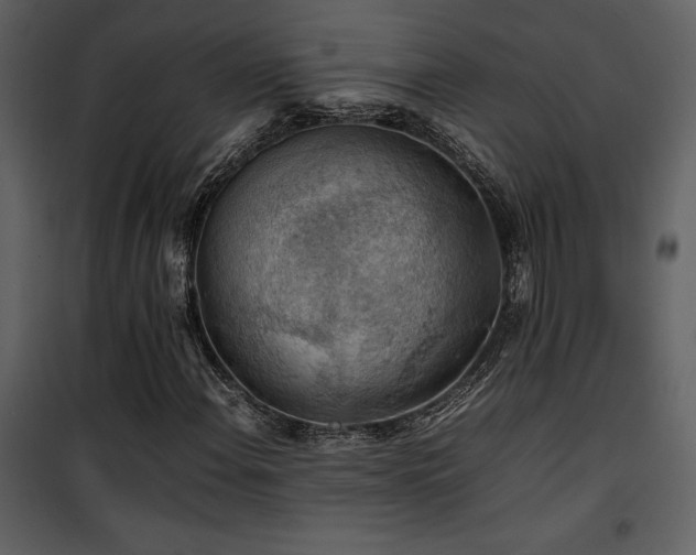 X0000102011108200807181222