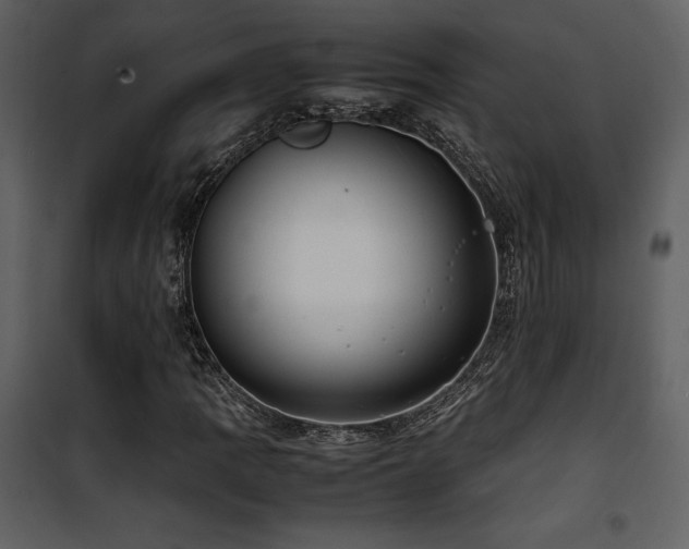 X0000102011109200807181222