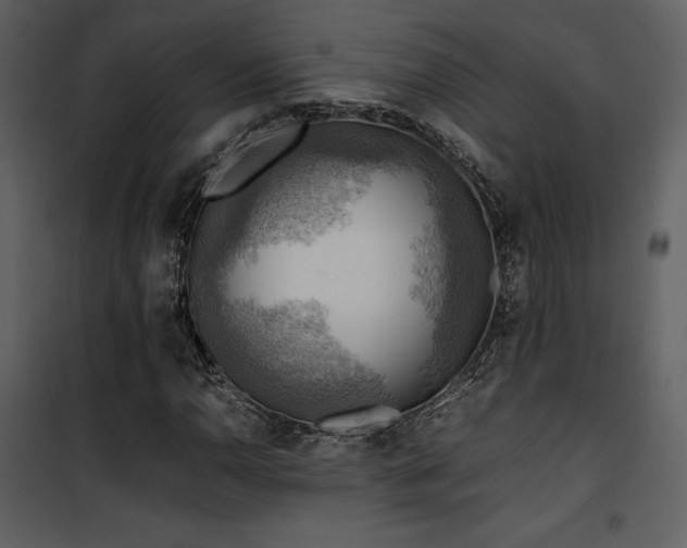 X0000102011110200807181222