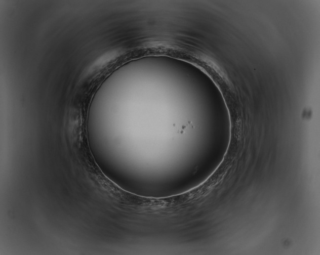 X0000102011111200807181222