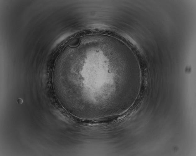 X0000102011112200807181222