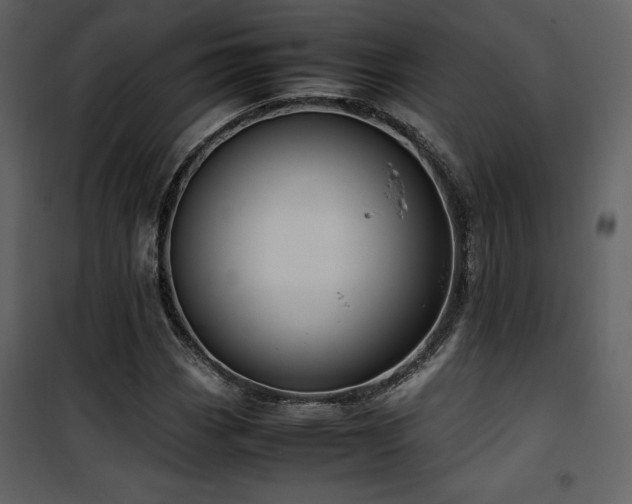 X0000102011113200807181222