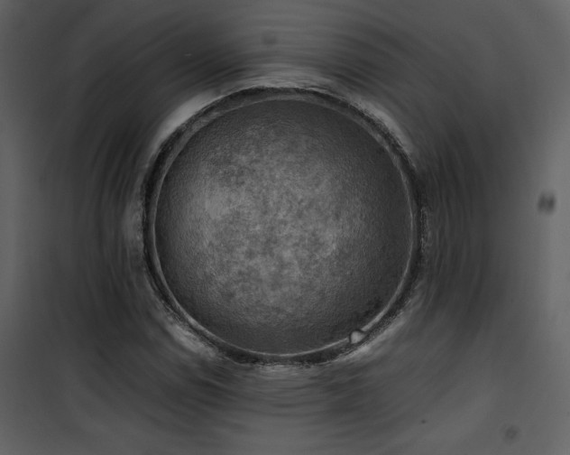 X0000102011114200807181222