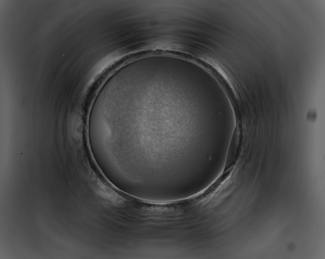 X0000102011115200807181222
