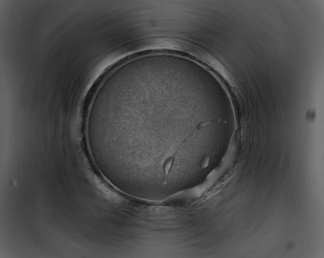 X0000102011116200807181222