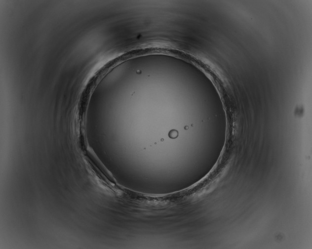 X0000102011117200807181222