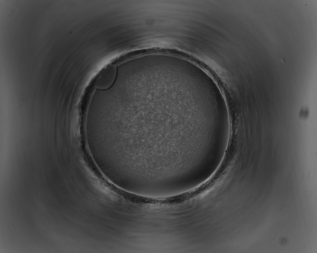 X0000102011118200807181222