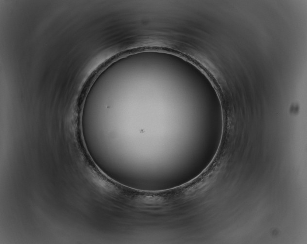 X0000102011119200807181222