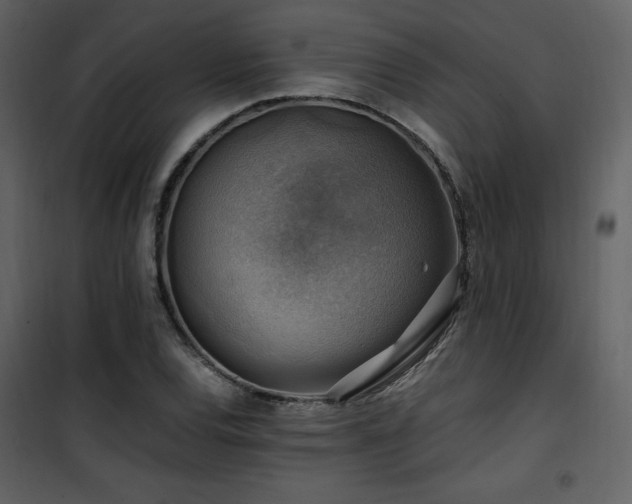 X0000102011120200807181222