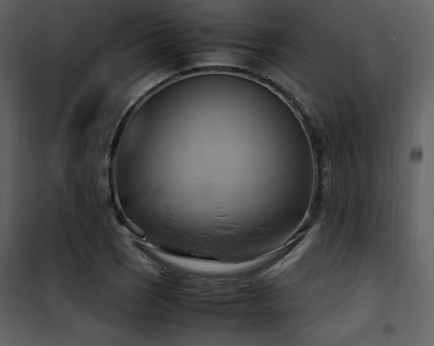 X0000102011121200807181222