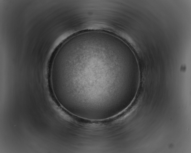 X0000102011122200807181222
