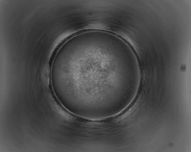 X0000102011123200807181222