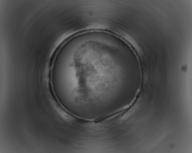 X0000102011124200807181222